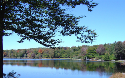 3 Lots for Sale Poconos, SELLER PAYING CLOSING COSTS