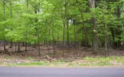 3 Lots for sale, Pocono’s Seller Paying Costs