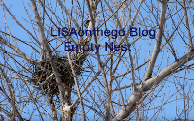LisaOnTheGo Empty Nest