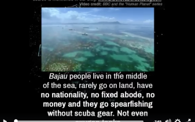 BAJAU People video by UNB Facts