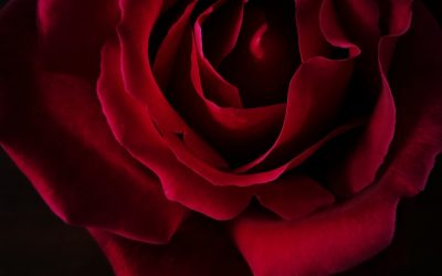 Loved One Passed Away
