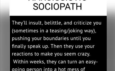 What is a Narcissistic Sociopath?