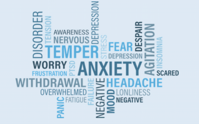What is Anger? LISAonthego